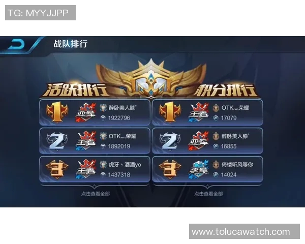 探寻王者荣耀FPX战队的节奏与策略背后的秘密与魅力