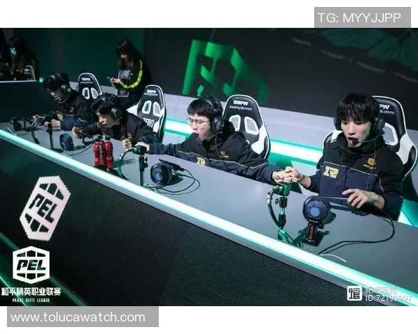 陈丽畅谈和平精英生涯与s15电竞总决赛的精彩瞬间与心路历程